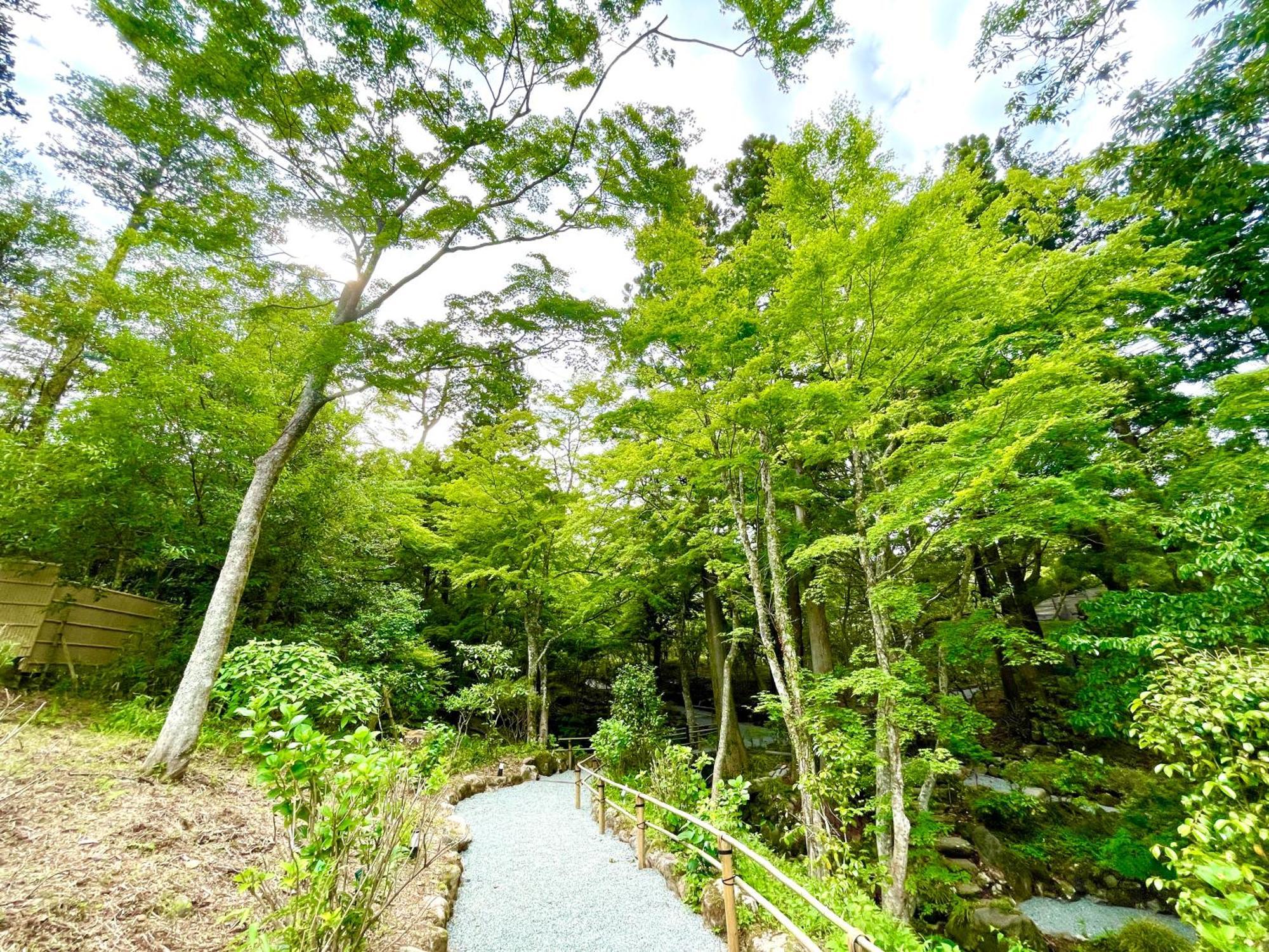 Hakone Kowakien Hotel Buitenkant foto